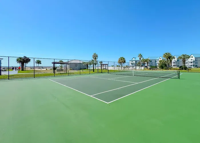 Plantation Palms 6404